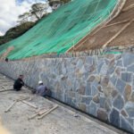 Grey Irregular Crazy Paving 3