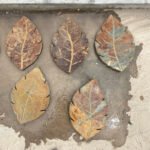 Leaf Shaped Stepping Stones 4