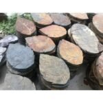 Leaf Shaped Stepping Stones 5