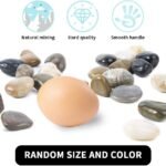 NaturalPolishedMixedAcid ResistantEco – friendlyDurableCobblestoneSmallDecorationRiver StonePlantGarden 5